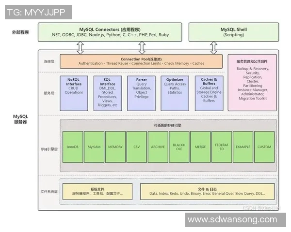 深入解析英雄联盟战术V5的运营体系与团队协作策略实时数据